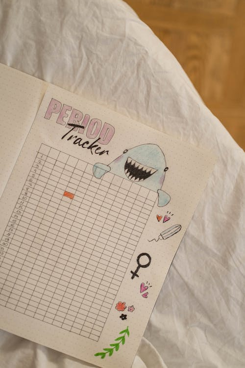  A journal with a period tracker and doodles